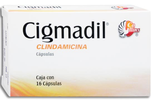 CLINDAMICINA 300MG 16 CAPS LGEN