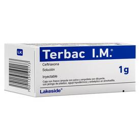 TERBAC IM 1G SOL INY FA-AMP