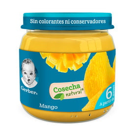 GERBER 2A E PURE MANGOS 113 G