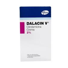 DALACIN-V CRA 40 G