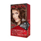 TIN REV COLORSILK CAS/CMT46 130ML