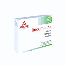 LINCOMICINA 300MG AMP 6X1ML LGEN