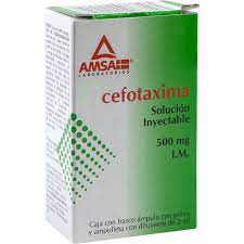 CEFOTAXIMA 500MG SI 2ML AMS LGEN