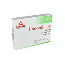 LINCOMICINA 600MG AMP 6X2ML LGEN