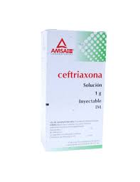 CEFTRIAXONA IM 1G S INY AMP LGEN