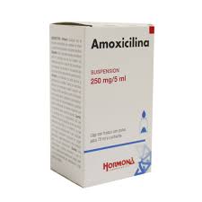 AMOXICILINA 250MG SUSP 75ML LGEN