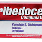 TRIBEDOCE COMP SOLINY 3 AMP LGEN