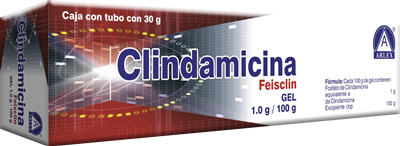 CLINDAMICINA 1G GEL TB 100G LGEN