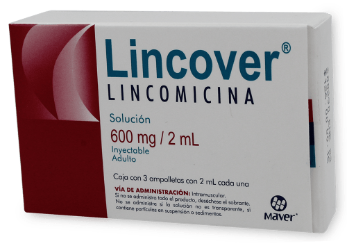 LINCOVER INY. 600 MG. CAJA C/3 AMP. C/2 ML.
