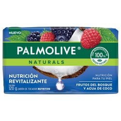 JBN PALMOL NAT FRUTO-A COCO 120G N