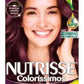 TIN NUTRISSE COLORISS LAV-INT 416