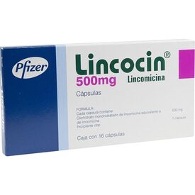 LINCOCIN 500 MG 16 CAPS