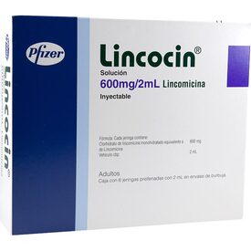 LINCOCIN 600MG JGA PREL6X2ML