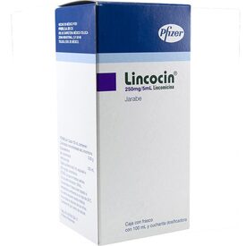 LINCOCIN 5 G JBE 100 ML
