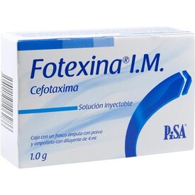 FOTEXINA IM 1G F A 1X4ML