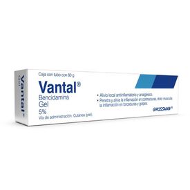 VANTAL 60 G GEL