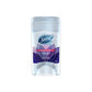 DESOD SECRET POWDER STICK GEL 45G