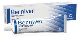BERNIVER UNGUENTO CAJA C/TUBO C/15 G.